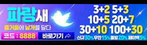 토토사이트-파랑새-293x90