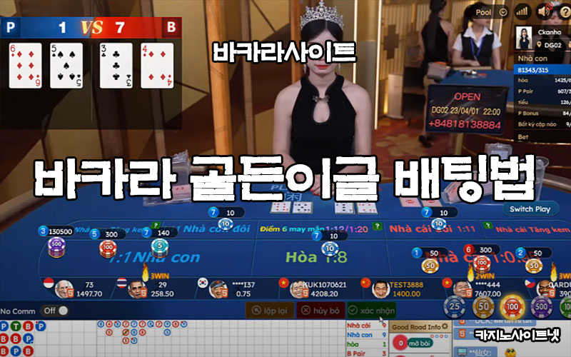 바카라-골든이글-시스템-배팅법 ️온라인카지노 | 카지노사이트넷 바카라-골든이글-시스템-배팅법 ️온라인카지노 | 카지노사이트넷