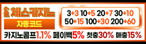 카지노사이트-체스카지노-카지노사이트넷-293x90