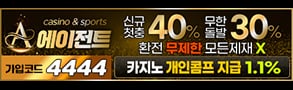 토토사이트-에이전트-카지노사이트넷-293x90